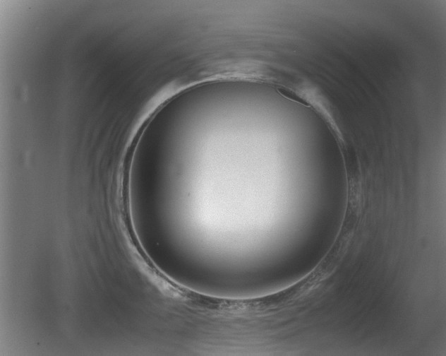 X0000081371099200701111541