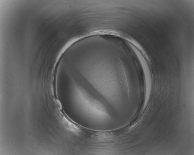 X0000081371102200701111541