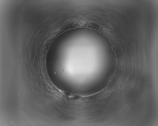 X0000081371105200701111540