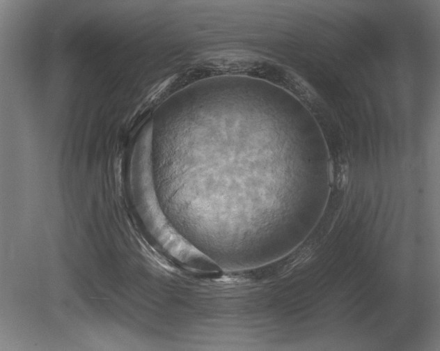 X0000081371108200701111540