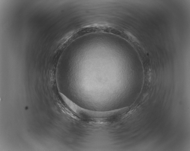 X0000081371110200701111540