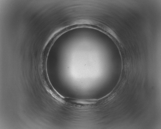 X0000081371116200701111540