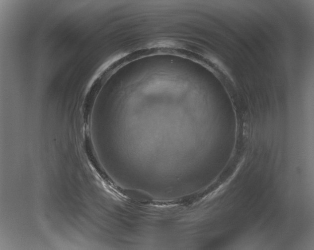 X0000081371117200701111540