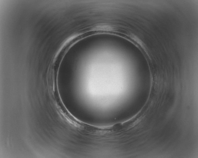 X0000081371123200701111541