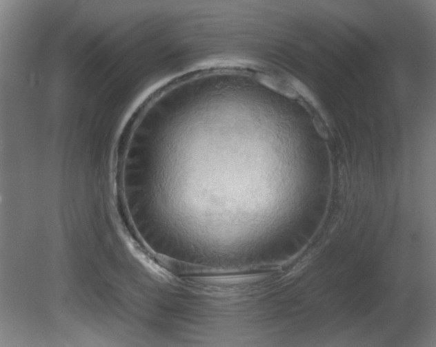 X0000081371124200701111541