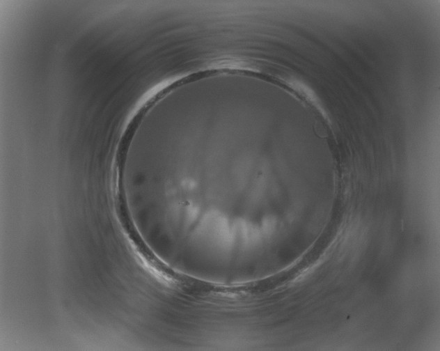X0000081371125200701111541