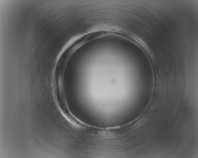X0000081371128200701111541