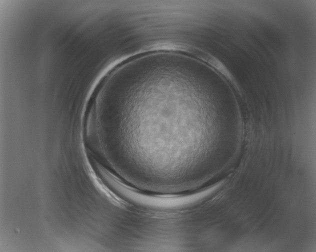 X0000081371132200701111541