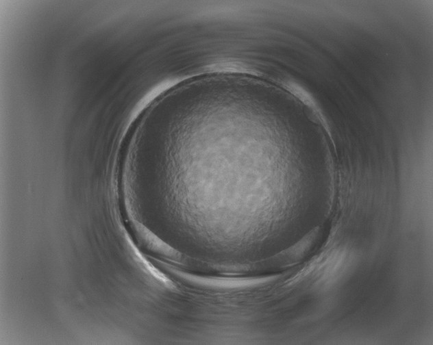 X0000081371141200701111541