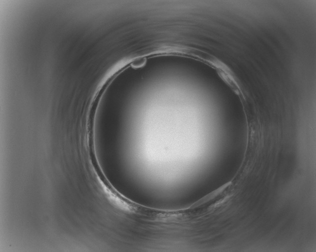 X0000081371143200701111541