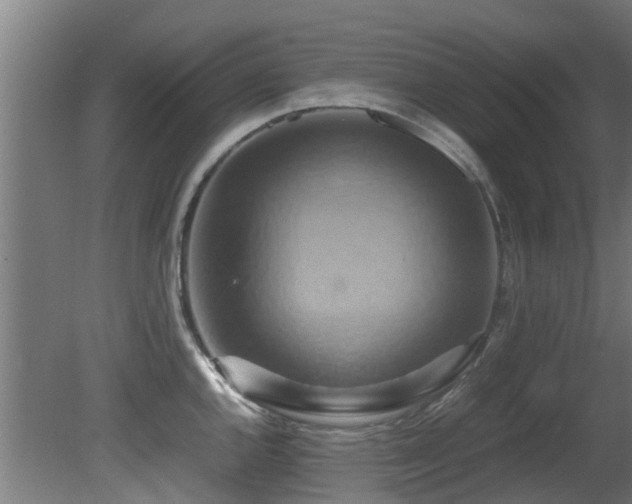 X0000081371144200701111541
