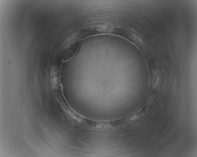 X0000081371154200701111540