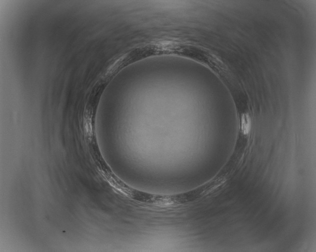 X0000081371155200701111540