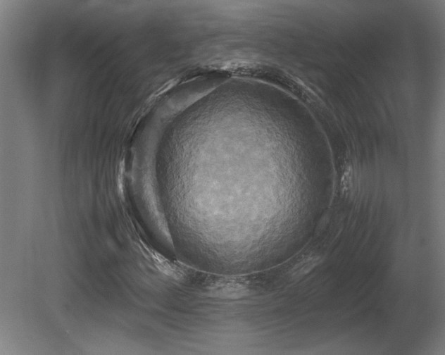X0000081371156200701111540