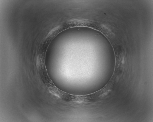 X0000081371157200701111540