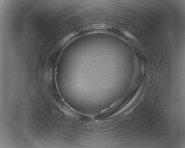 X0000081371161200701111540
