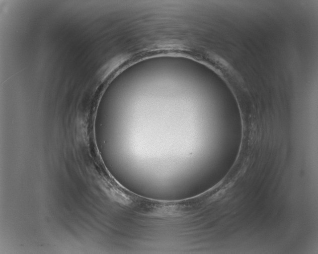 X0000081371162200701111540