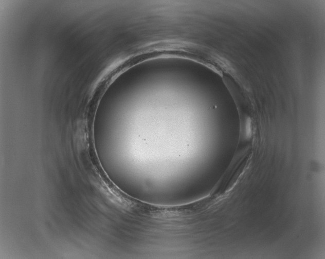 X0000081371164200701111540