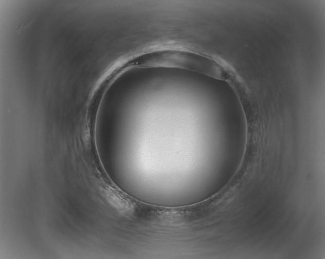 X0000081371167200701111540