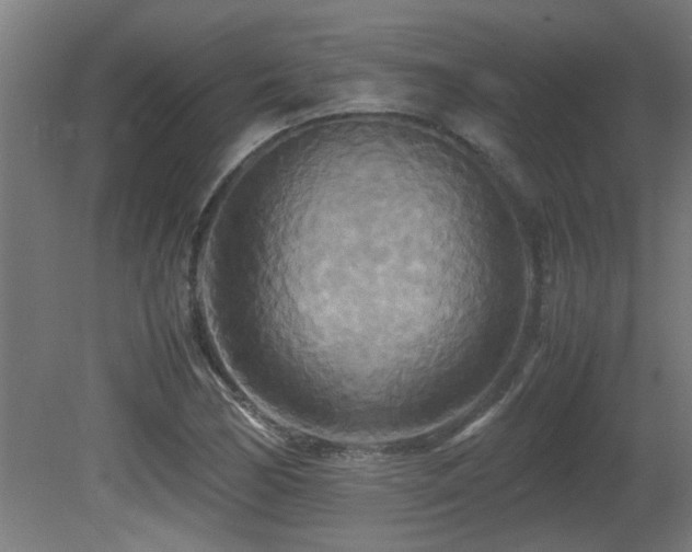 X0000081371170200701111540