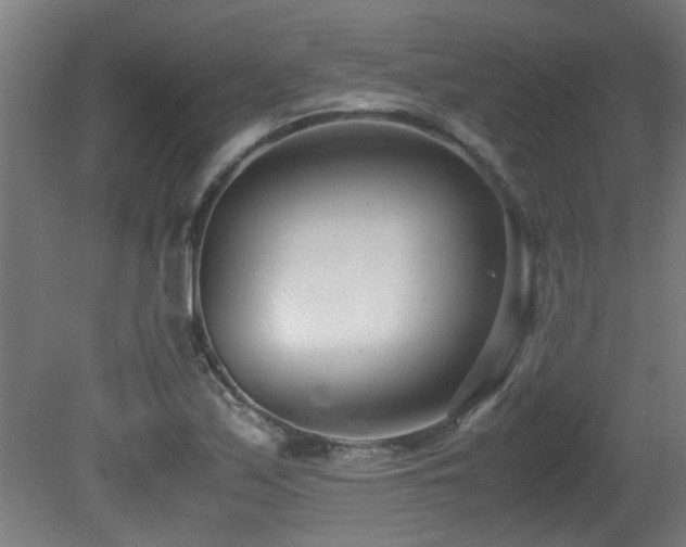 X0000081371171200701111540