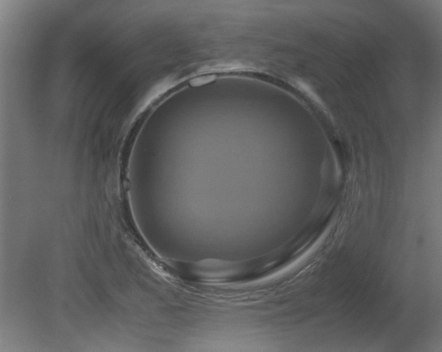 X0000081371173200701111540