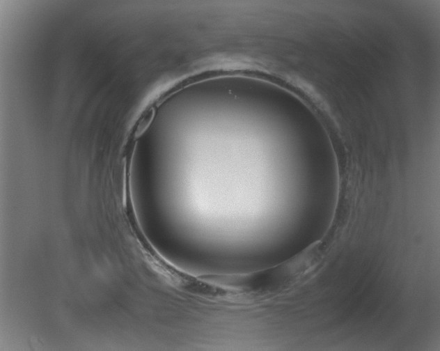 X0000081371175200701111540