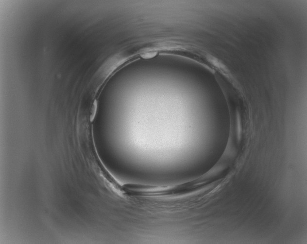 X0000081371177200701111540