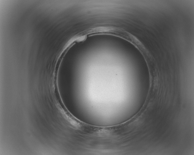 X0000081371178200701111540
