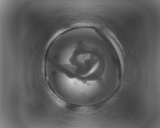 X0000081371179200701111540