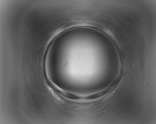 X0000081371181200701111540
