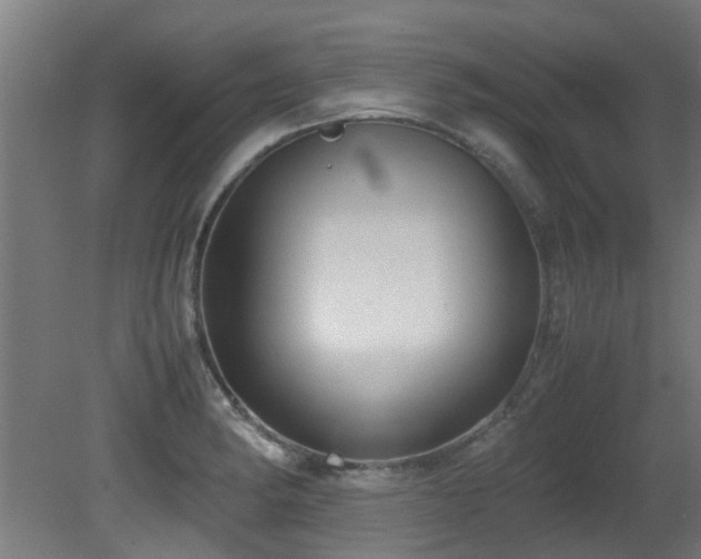 X0000081371182200701111540