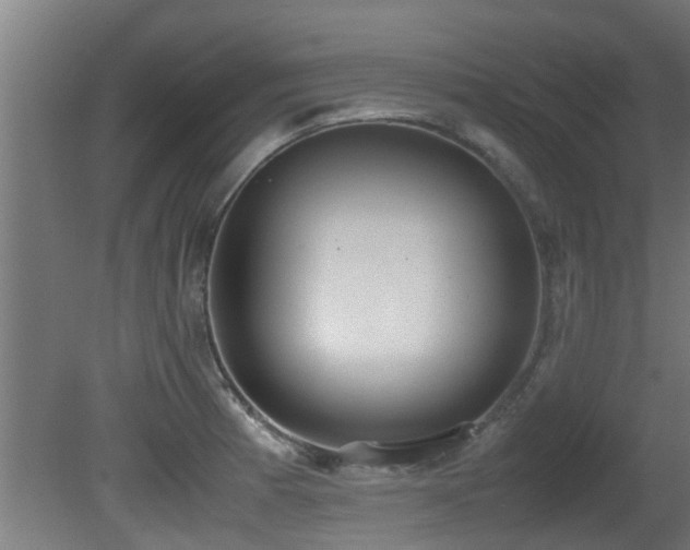 X0000081371185200701111540