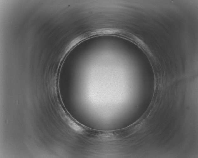 X0000081371186200701111540