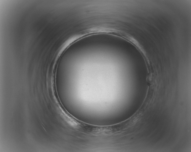 X0000081371187200701111540