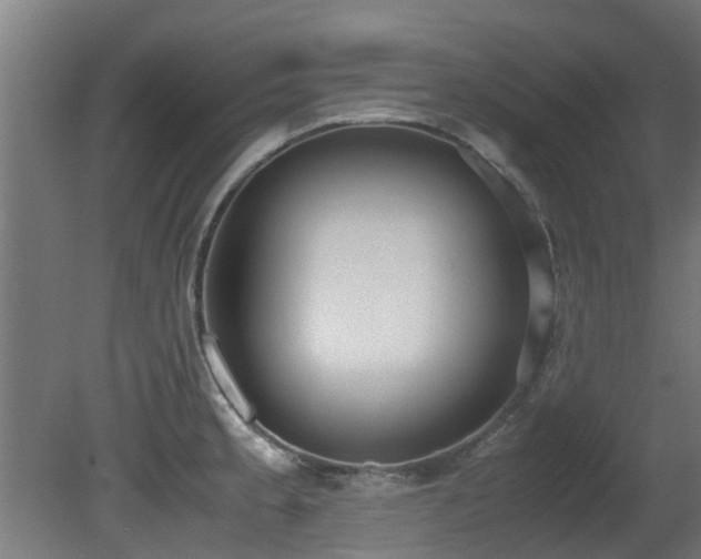 X0000081371189200701111540