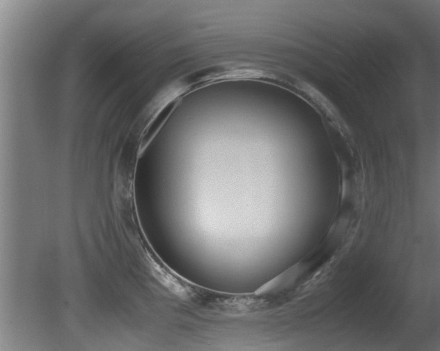 X0000081371193200701111540
