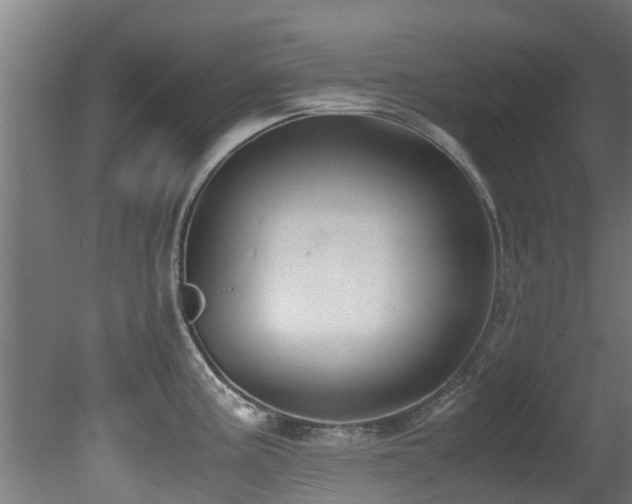 X0000081371195200701111540