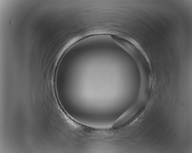 X0000081371197200701111539