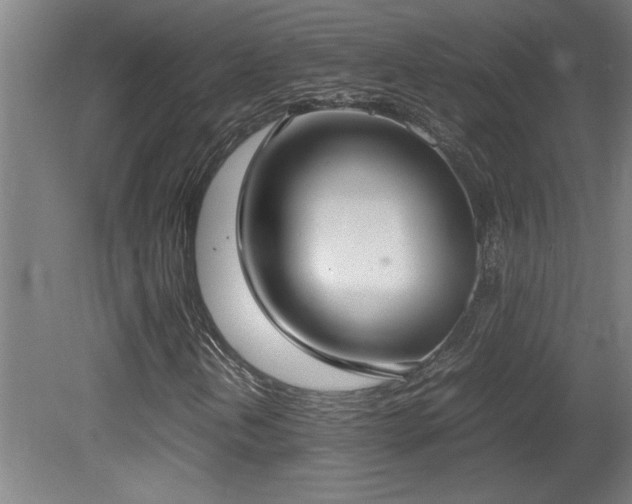 X0000081371202200701111539