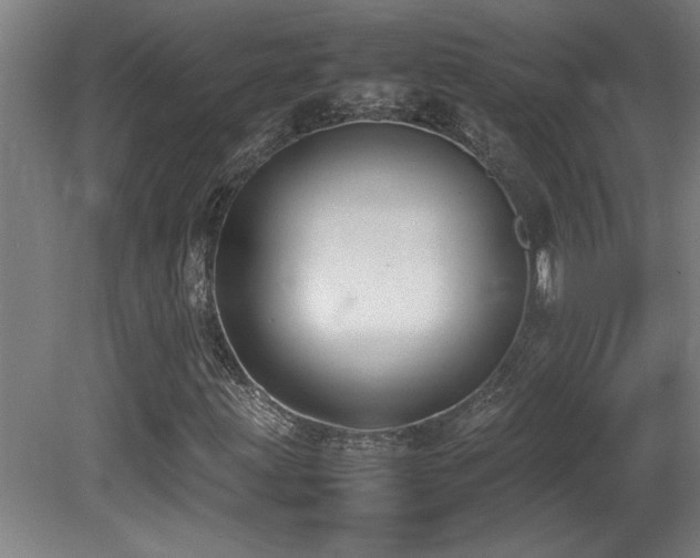 X0000081371203200701111539
