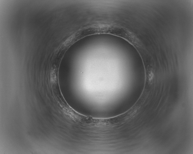 X0000081371204200701111539