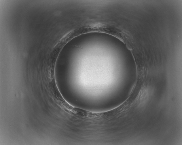 X0000081371205200701111539
