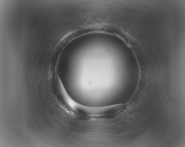 X0000081371206200701111539