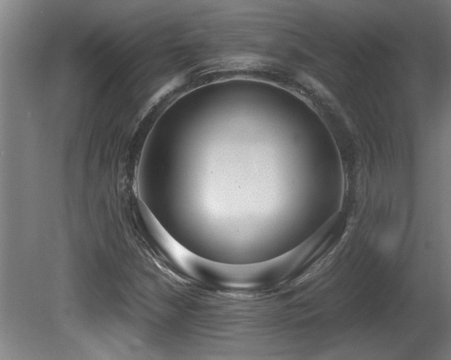 X0000081371210200701111539