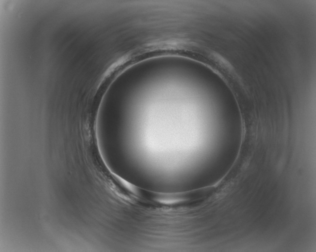 X0000081371218200701111539
