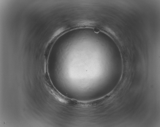 X0000081371219200701111539