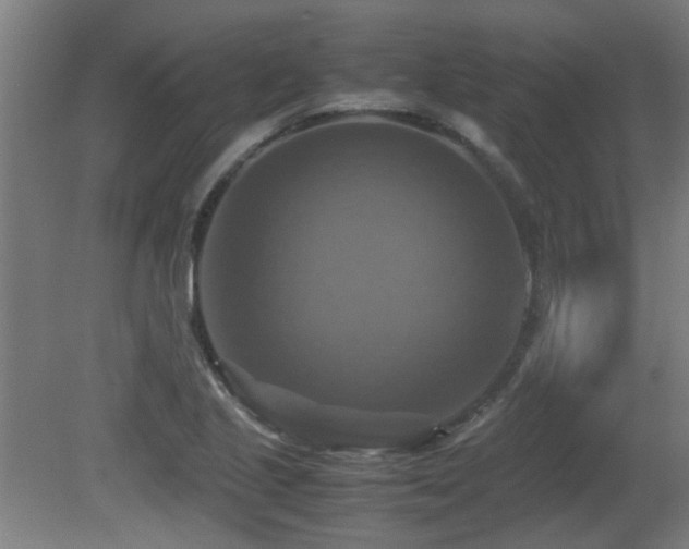 X0000081371221200701111539