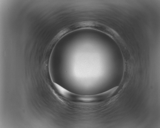 X0000081371225200701111539