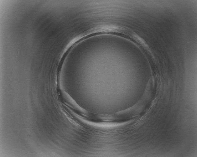 X0000081371226200701111539
